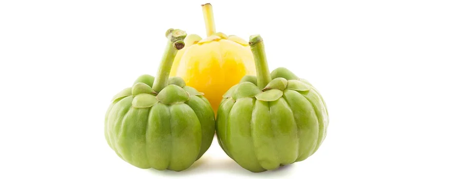 Sustainability in the Field: Regenerative agriculture and biodiversity in the natural products industry.