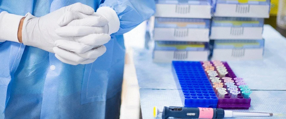 Career prospects In research and development