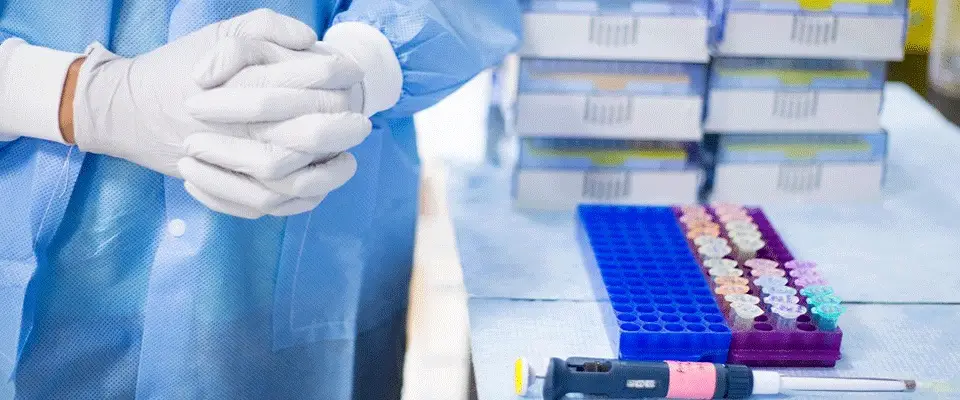 Career prospects In research and development