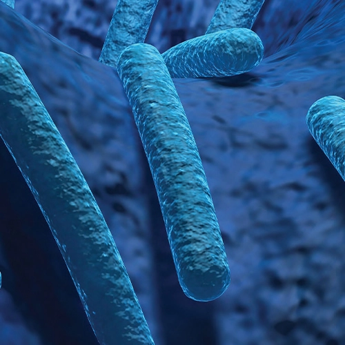 Prebiotics, Probiotics, Postbiotics & Synbiotics